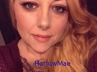 HarlowMae