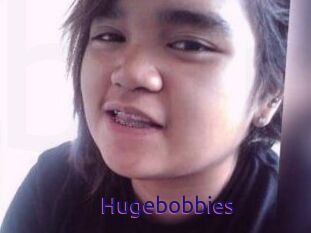 Hugebobbies