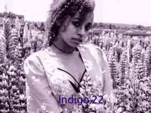 Indigo_22