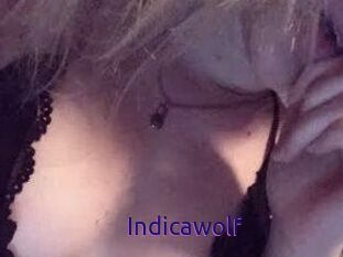 Indicawolf