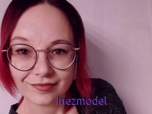 Inezmodel