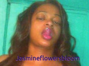 Jasmineflowersbloom