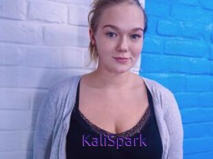 KaliSpark