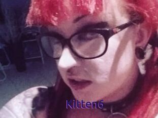 Kitten6