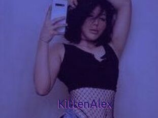 KittenAlex