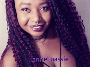 Kannel_passie