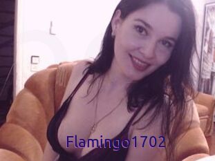 Flamingo1702