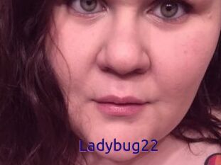 Ladybug22