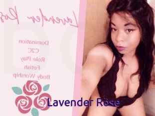Lavender_Rose