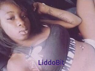 LiddoBit