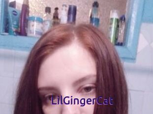 LilGingerCat