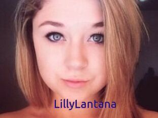 LillyLantana