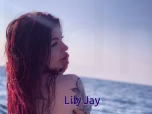 Lily_Jay