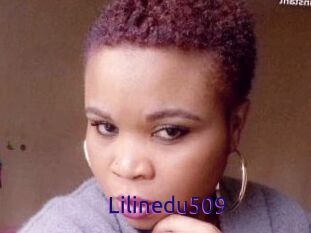 Lilinedu509