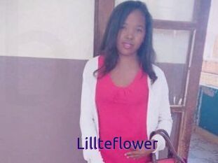 Lillteflower