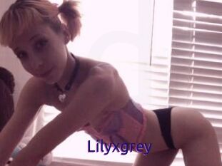 Lilyxgrey