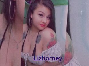 Lizhorney