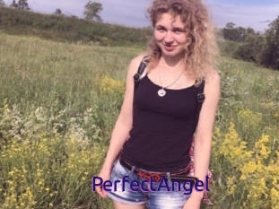 PerfectAngel