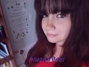 Meana_Bear