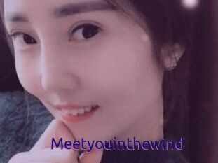 Meetyouinthewind