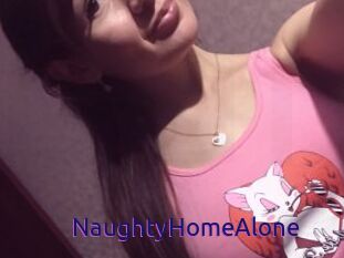 NaughtyHomeAlone