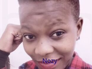 Nozy
