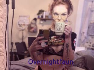 Overnightfaun