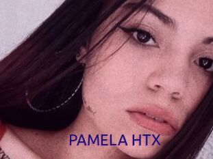 PAMELA_HTX