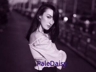 PaleDaisy
