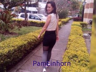 PamEinhorn