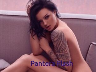 Pantera_Flash