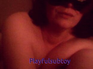 Playfulsubtoy