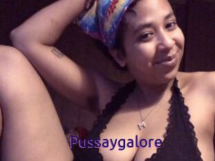 Pussaygalore