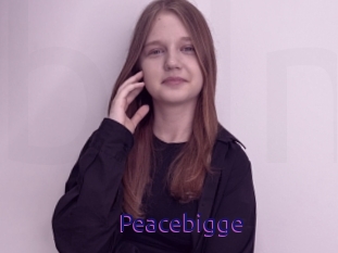 Peacebigge