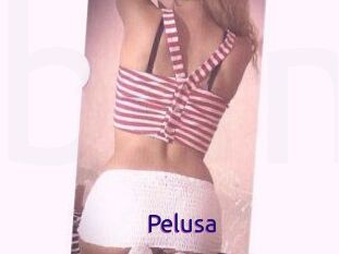 Pelusa
