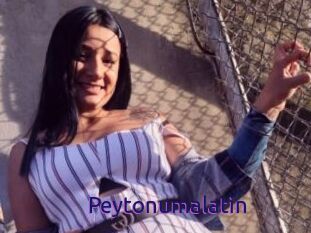 Peytonumalatin