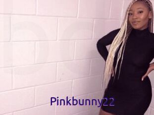 Pinkbunny22