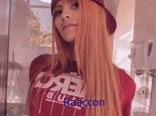 Raaccon