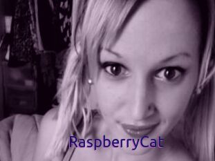 RaspberryCat