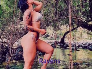 Ravens