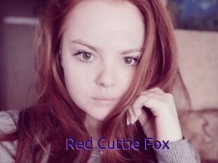 Red_Cuttie_Fox