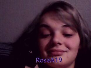 RoseA19