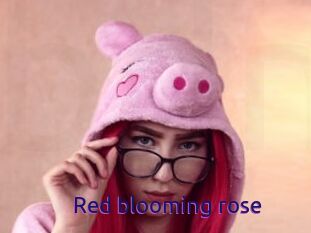 Red_blooming_rose