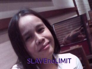 SLAVEnoLIMIT