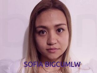 SOFIA_BIGCUMLW