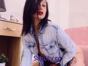 Sahory_co