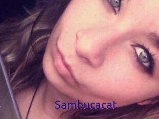 Sambucacat