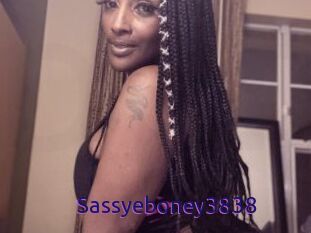 Sassyeboney3838