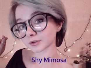 Shy_Mimosa