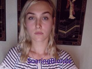 SoaringBlonde